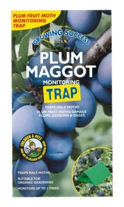 Growing Success Plum Maggot Monitoring Trap