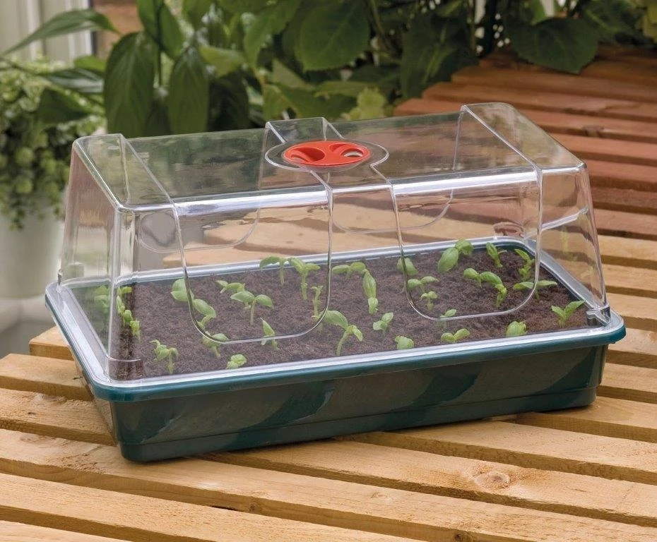 Garland Large High Dome Propagator