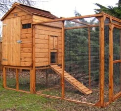 A1 Raised Chicken Coop