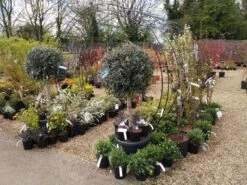 Poppy Forge Round Tunnel