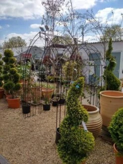 Poppy Forge Gothic Tunnel