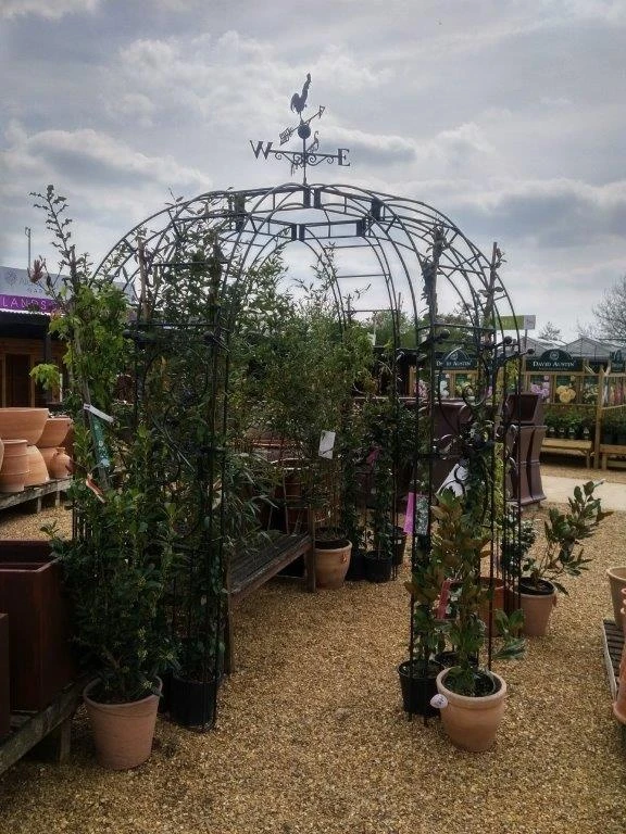 Poppy Forge 6 Sided Gazebo With Side Panels & Weathervane